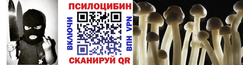 Галлюциногенные грибы Magic Shrooms  Купить где  Заволжье 